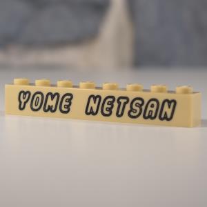 Brique Gravée - Yome NetSan (01)